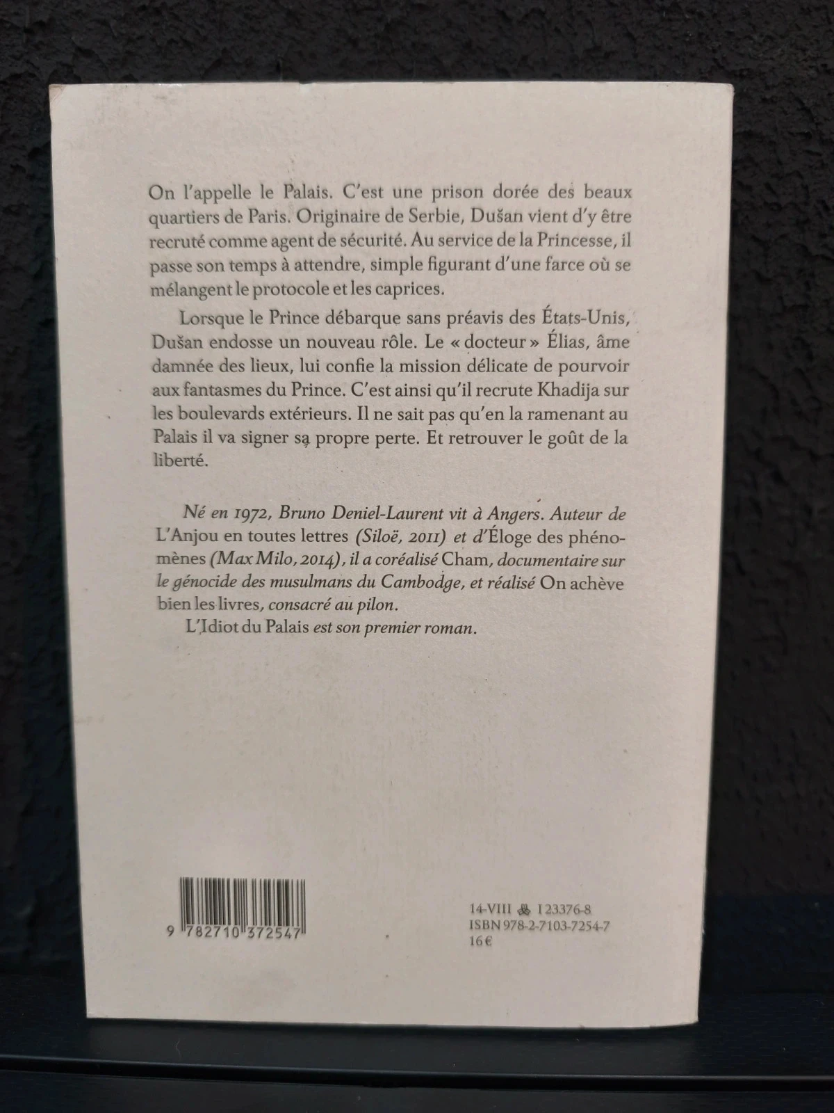 The palace idiot – photo 2